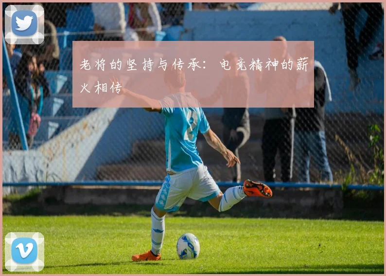 老将的坚持与传承：电竞精神的薪火相传