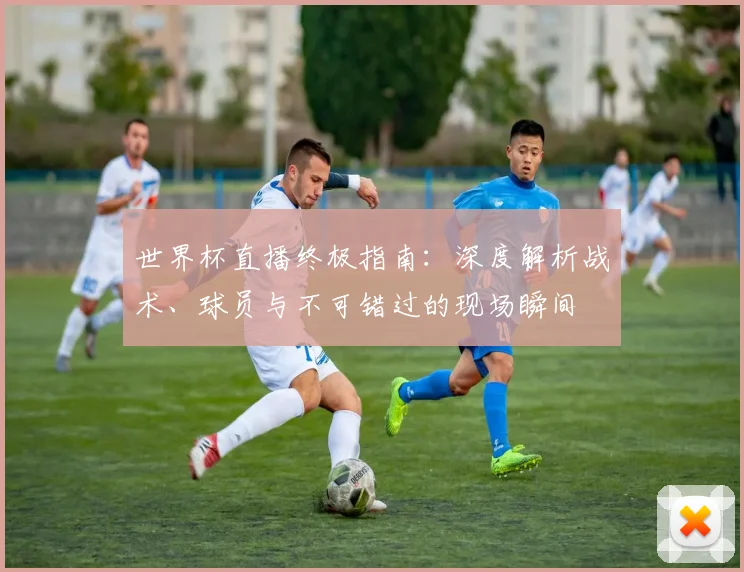 世界杯直播终极指南:深度解析战术、球员与不可错过的现场瞬间